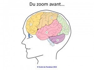 zoom avant